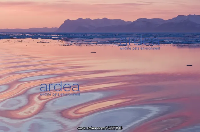 : Sunset, Kong Oscar Fjord, East Coast of : Sunset, Kong Oscar Fjord, East Coast of
