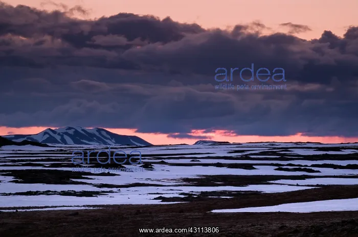 : sunset at Krafla Iceland in a snow-covered landscape : sunset at Krafla Iceland in a snow-covered landscape