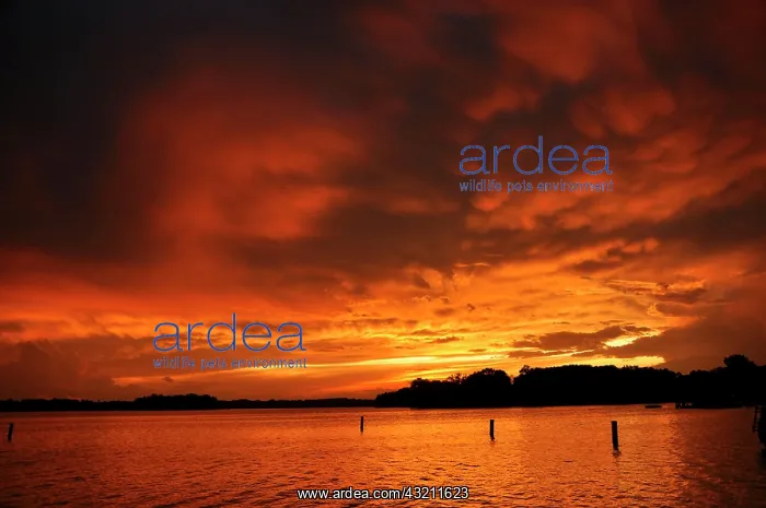 : Sunset, Lac La Belle, Wisconsin, USA, North America : Sunset, Lac La Belle, Wisconsin, USA, North America