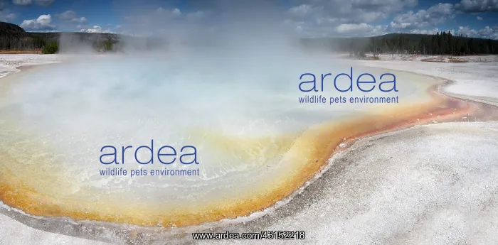 : Sunset Lake hot water pool : Sunset Lake hot water pool