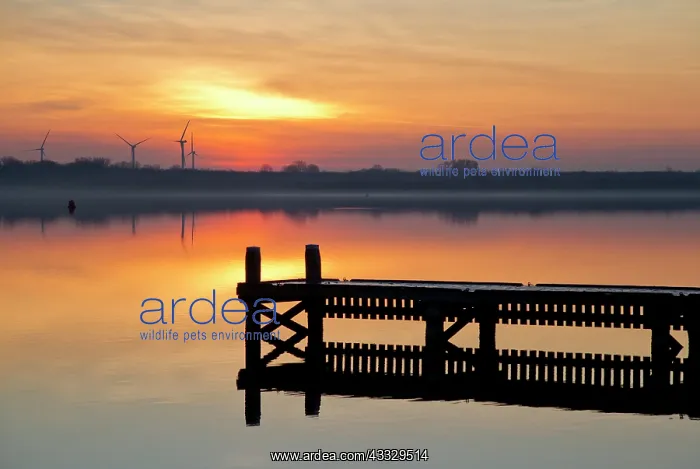 : Sunset over a lake with a landing stage : Sunset over a lake with a landing stage