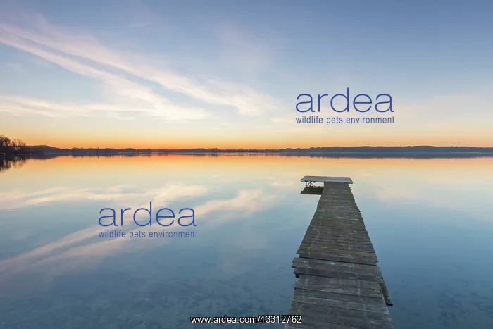 : Sunset at Lake Ploen - Schleswig-Holstein - Germany : Sunset at Lake Ploen - Schleswig-Holstein - Germany