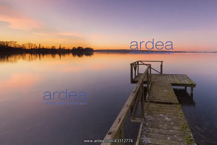 : Sunset at Lake Ploen - Schleswig-Holstein - Germany : Sunset at Lake Ploen - Schleswig-Holstein - Germany