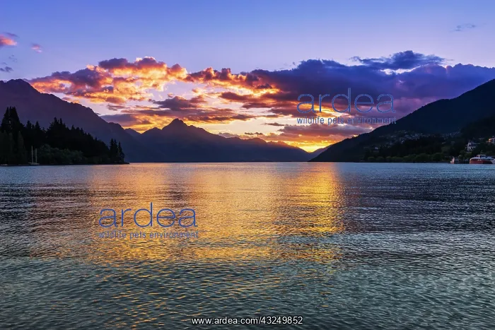 : Sunset over Lake Wakatipu from Queenstown, Otago : Sunset over Lake Wakatipu from Queenstown, Otago