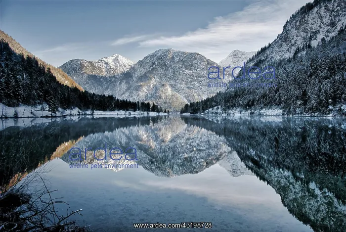 : Sunset from lake in winter, Plansee, Tyrol, Austria : Sunset from lake in winter, Plansee, Tyrol, Austria