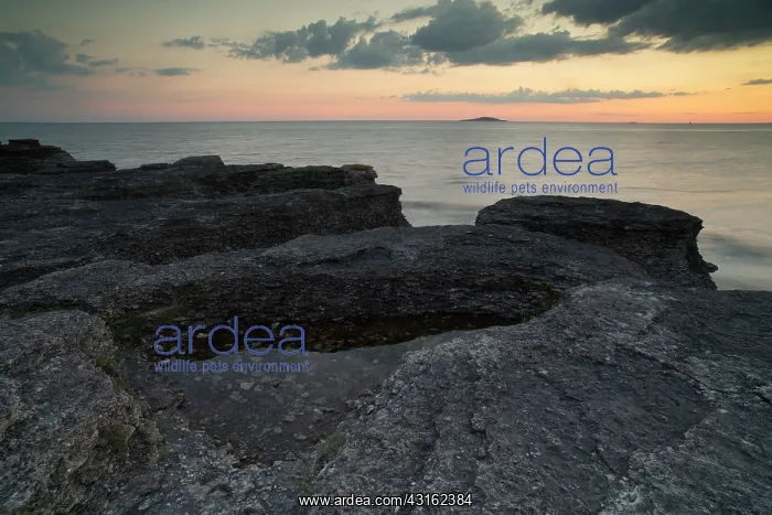 : Sunset over the limestone seastacks : Sunset over the limestone seastacks