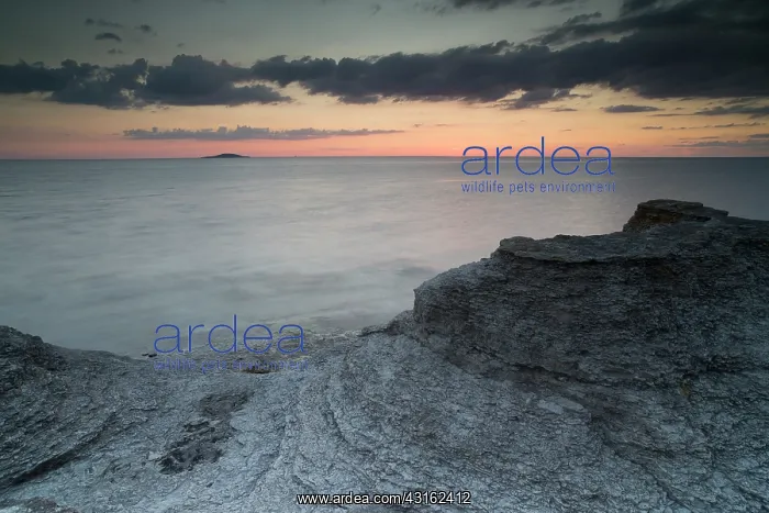 : Sunset over the limestone seastacks : Sunset over the limestone seastacks
