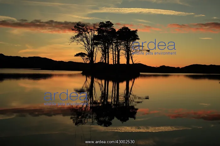 : Sunset Loch Assynt, Scotland : Sunset Loch Assynt, Scotland