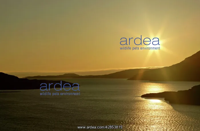 : Sunset over Loch Broom - with sun still up casting : Sunset over Loch Broom - with sun still up casting