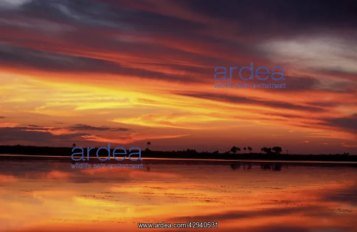 : Sunset - Lynianti River : Sunset - Lynianti River