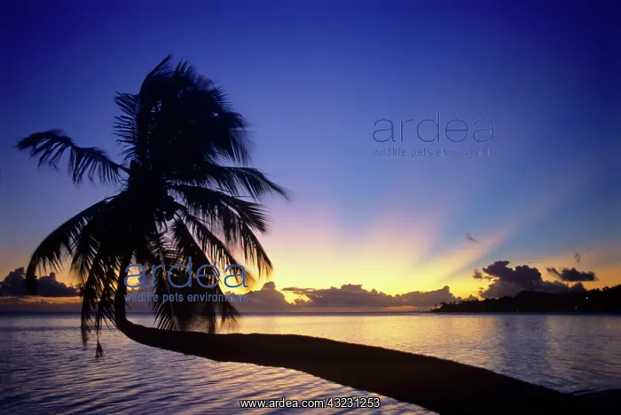 : Sunset from Matira Beach on the island of : Sunset from Matira Beach on the island of