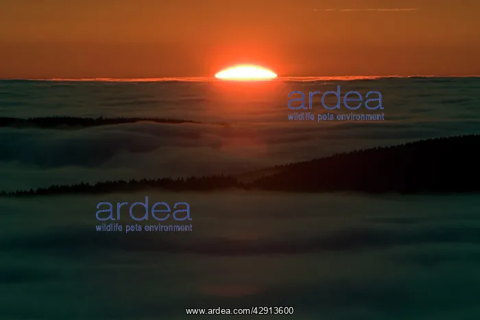 : Sunset - over Meissner Hills : Sunset - over Meissner Hills