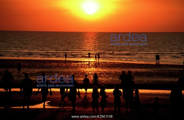 : Sunset at Mindil Beach.Darwin, Northern Territory, Australia : Sunset at Mindil Beach.Darwin, Northern Territory, Australia