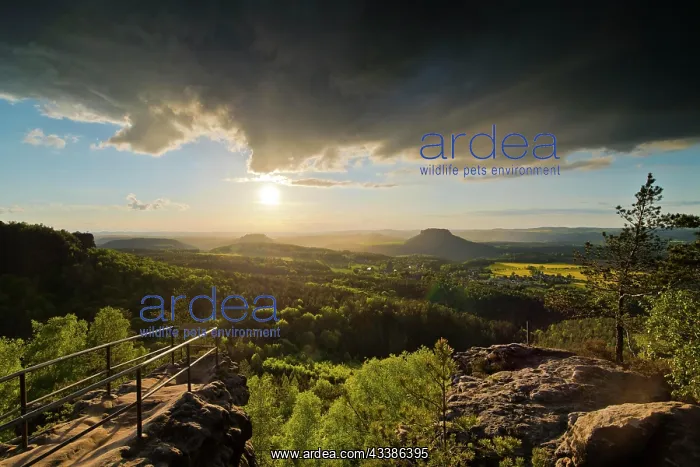  : Sunset mood after thunderstorm in Saxon Switzerl