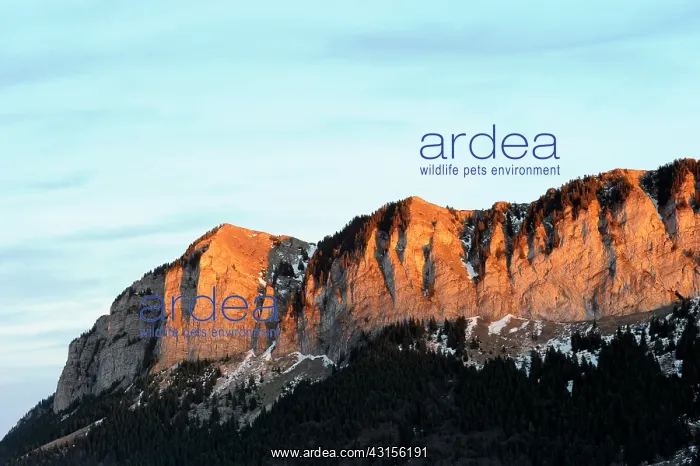 : Sunset over mountain range : Sunset over mountain range