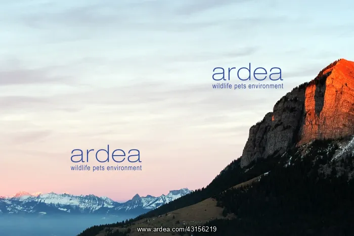 : Sunset over mountain range : Sunset over mountain range