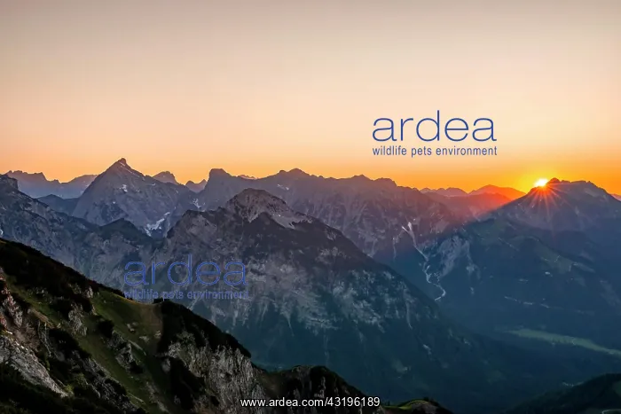 : Sunset behind mountain silhouette, silhouette of : Sunset behind mountain silhouette, silhouette of