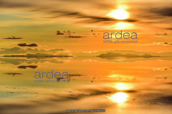 : Sunset, mountains with reflection in the lake, water : Sunset, mountains with reflection in the lake, water