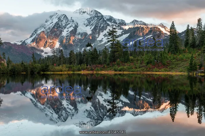 : Sunset, Mt. Shuksan glacier with snow reflected : Sunset, Mt. Shuksan glacier with snow reflected