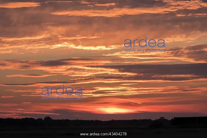 : Sunset Norfolk UK : Sunset Norfolk UK