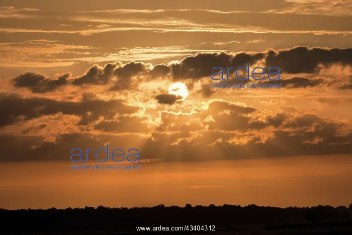 : Sunset Norfolk UK : Sunset Norfolk UK