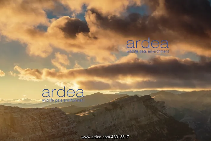 : Sunset in Ordesa : Sunset in Ordesa