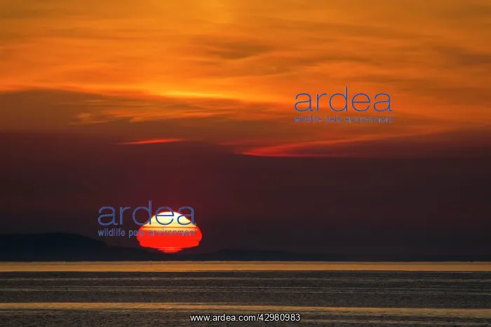 : Sunset over Outer Hebrides : Sunset over Outer Hebrides