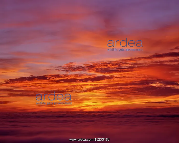  : Sunset over the Pacific Ocean from Cape