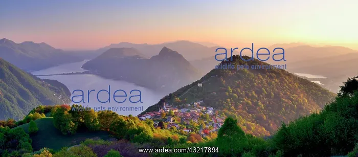 : Sunset, Panoramablick, village Br&, x8833;opra Lugano : Sunset, Panoramablick, village Br&, x8833;opra Lugano