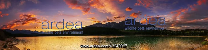 : Sunset at Patricia Lake, Jasper National Park, Alberta : Sunset at Patricia Lake, Jasper National Park, Alberta
