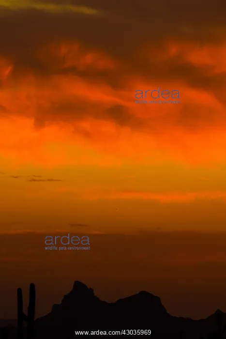  : Sunset over Picacho peak, Arizona