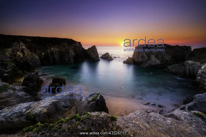 : Sunset at Port Bara on the Caete Sauvage in Saint : Sunset at Port Bara on the Caete Sauvage in Saint