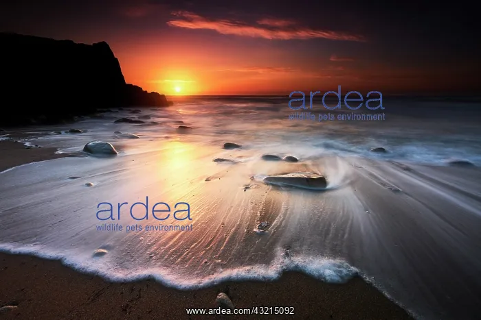 : Sunset at Port Bara on the wild coast of Quiberon : Sunset at Port Bara on the wild coast of Quiberon