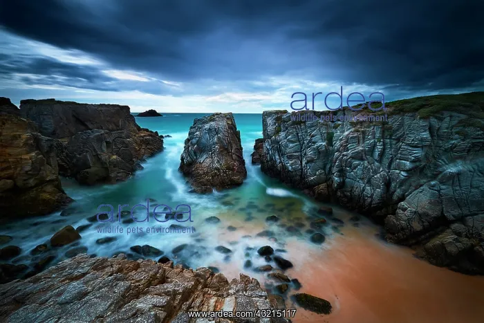 : Sunset at Port Bara on the wild coast of Quiberon : Sunset at Port Bara on the wild coast of Quiberon