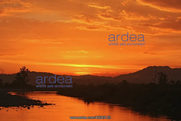 : Sunset over Ramganga river, Corbett National : Sunset over Ramganga river, Corbett National
