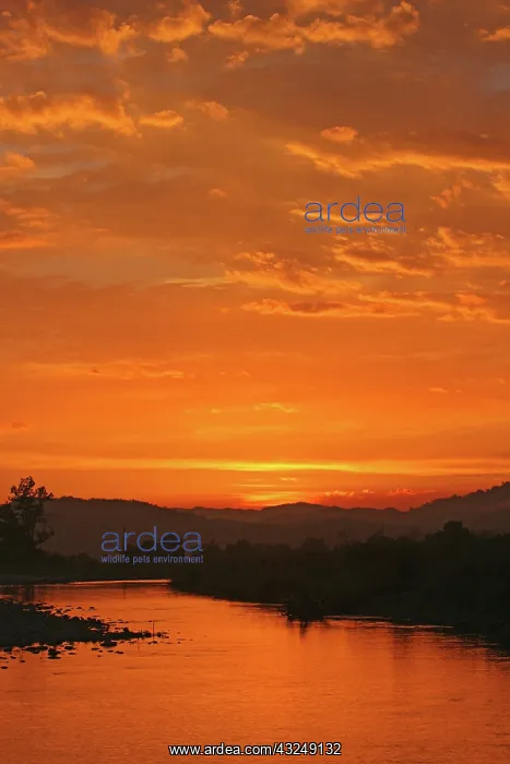: Sunset over Ramganga river, Corbett National : Sunset over Ramganga river, Corbett National