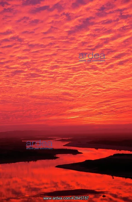  : SUNSET - RED SKY OVER RIVER