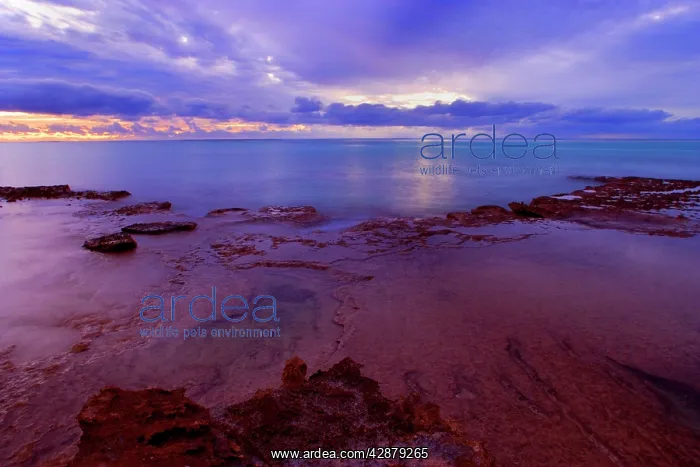 : Sunset over the Reef - colourful sunset over Ningaloo : Sunset over the Reef - colourful sunset over Ningaloo