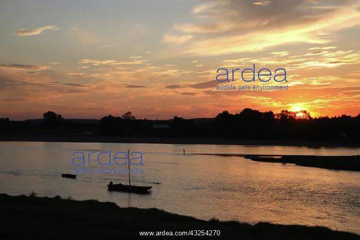 : Sunset over River Loire. Loire Valley. Amboise : Sunset over River Loire. Loire Valley. Amboise