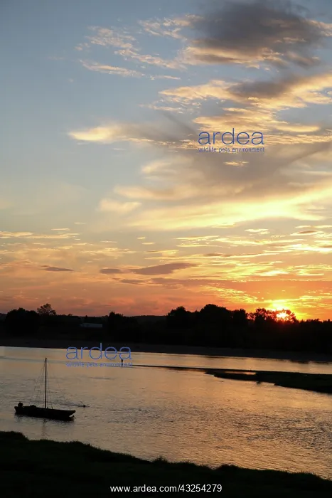 : Sunset over River Loire. Loire Valley. Amboise : Sunset over River Loire. Loire Valley. Amboise