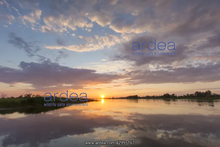 : Sunset over the river Oder - Brandenburg - Germany : Sunset over the river Oder - Brandenburg - Germany