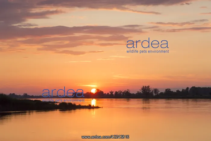 : Sunset over the river Oder - Brandenburg - Germany : Sunset over the river Oder - Brandenburg - Germany