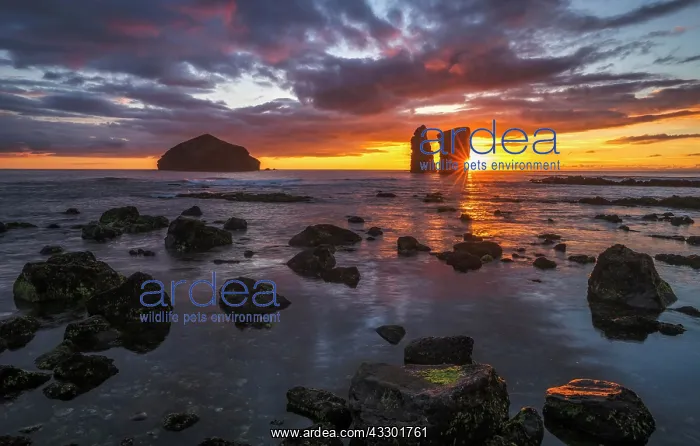: Sunset behind rock formation on the beach of Mosteiros : Sunset behind rock formation on the beach of Mosteiros