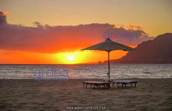 : Sunset, sandy beach, Plakias, south coast, Crete : Sunset, sandy beach, Plakias, south coast, Crete