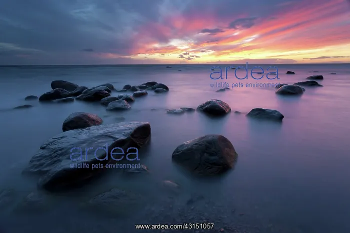 : Sunset at sea with boulders in foreground : Sunset at sea with boulders in foreground