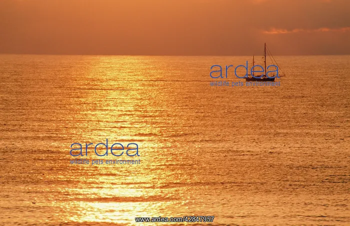 : Sunset - over sea with small boat : Sunset - over sea with small boat