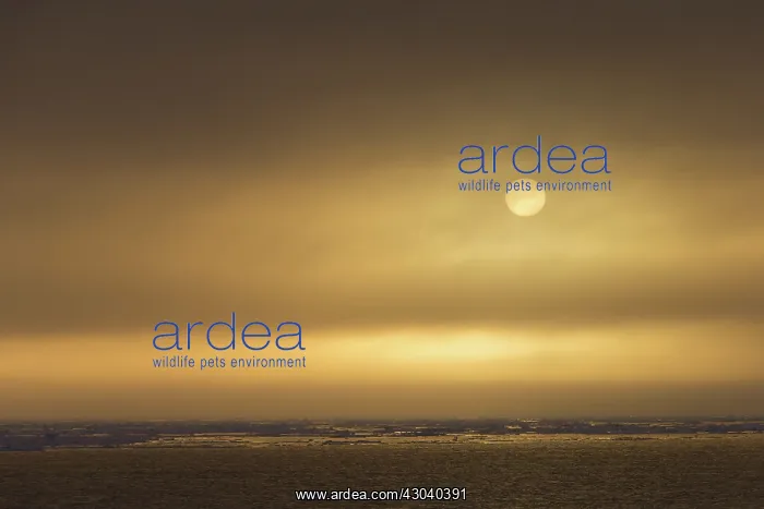  : Sunset over seascape