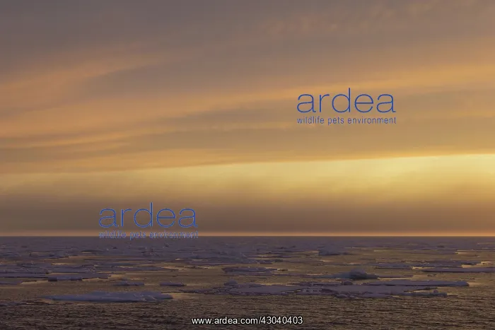  : Sunset over seascape
