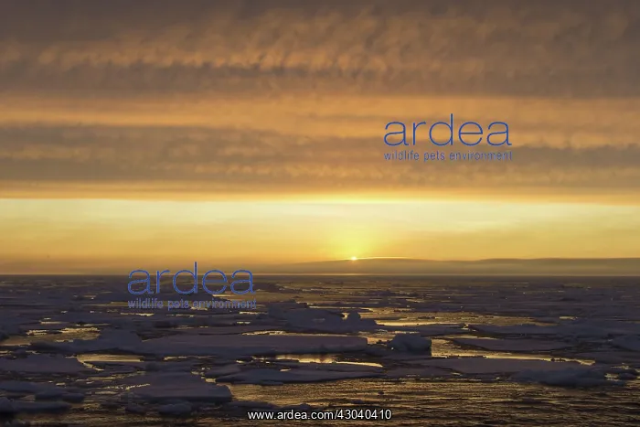  : Sunset over seascape