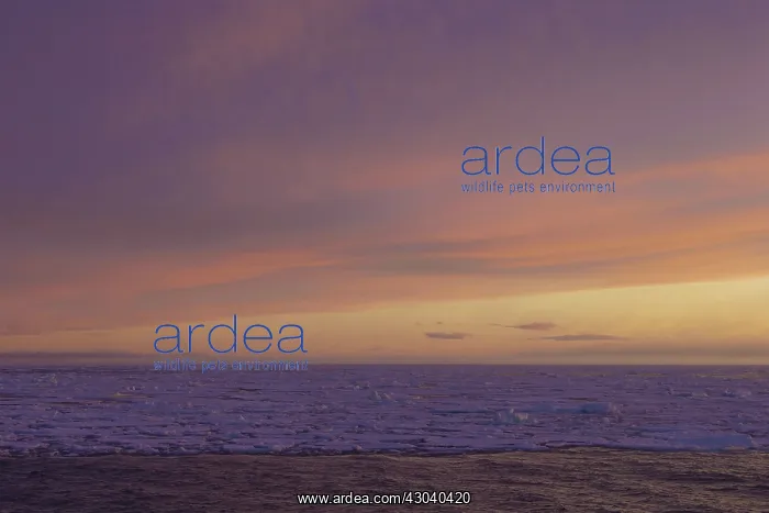 : Sunset over seascape